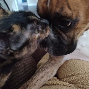 Meet your Posher, Rita